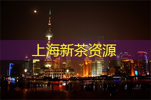 创意的灵感怎么写